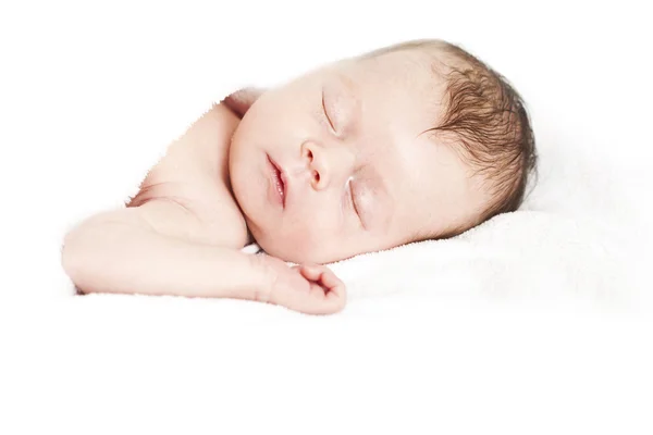 Newborn baby peacefully sleeping — Stock Photo, Image