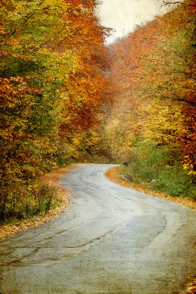 Route sinueuse en forêt d'automne — Photo