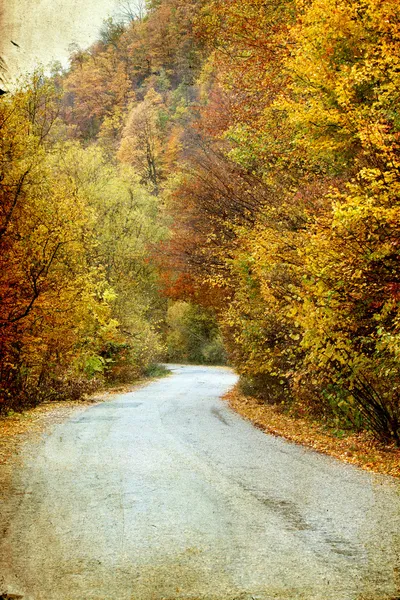 Curving road in autumn forest — Stock Photo, Image