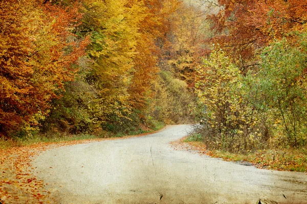 Strada curva nella foresta autunnale — Foto Stock