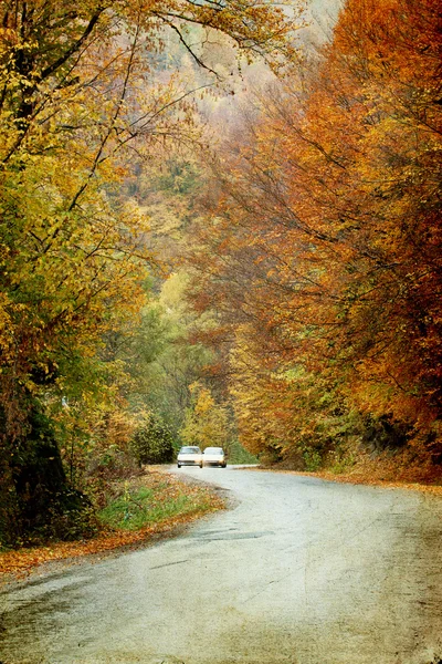 Točitou cestou v podzimním lese — Stock fotografie