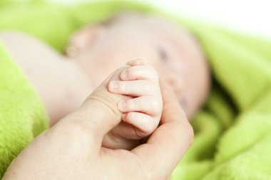Bebek el hafifçe tutarak yetişkin 's parmak