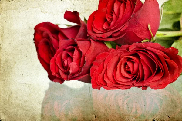 Ročník fotografické červených růží — Stock fotografie