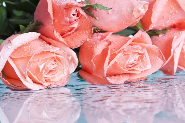 Roze roos bedekt met dauw — Stockfoto