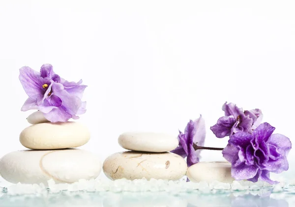 Spa stones and pink flower on white — Stock Photo, Image