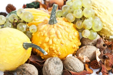 sonbahar konsepti - kabak ve beyaz üzüm