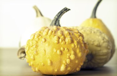 ahşap antika arka plan üzerinde kabak