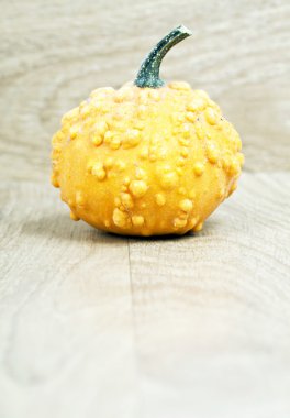 ahşap antika arka plan üzerinde kabak