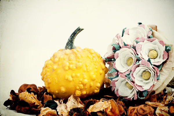 Pumpkins on wooden vintage background — Stock Photo, Image