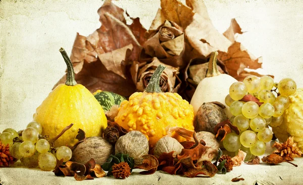 Antika ahşap zemin üzerinde pumpkins ile sonbahar konsepti — Stok fotoğraf