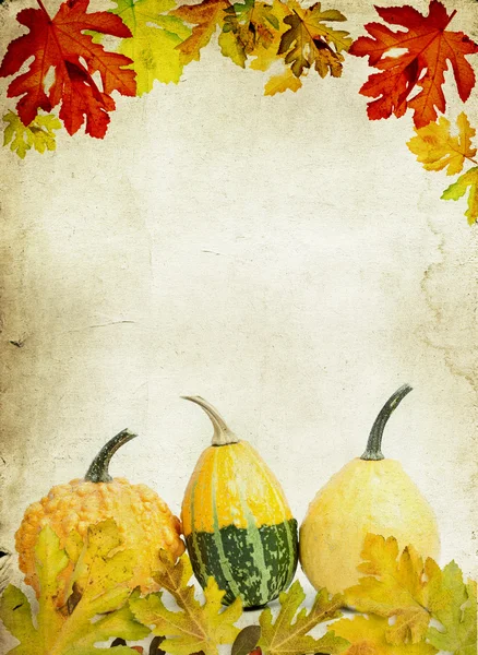 Antika ahşap zemin üzerinde pumpkins ile sonbahar konsepti — Stok fotoğraf
