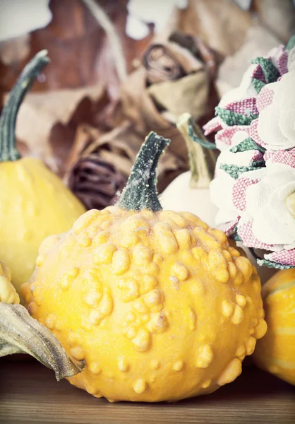 Pumpkins on wooden vintage background — Stock Photo, Image