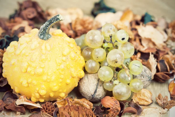 Őszi koncepció - sütőtök és fehér szőlő — Stock Fotó