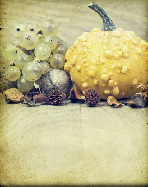 Herfst concept - pompoen en druiven op wit — Stockfoto