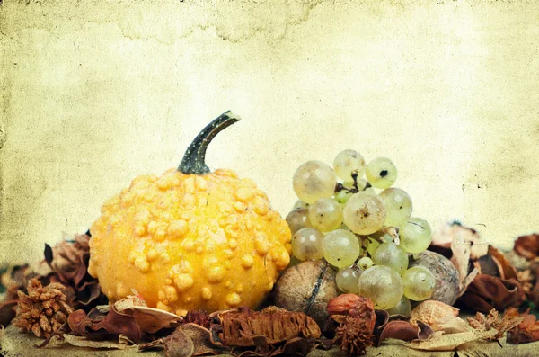 Осіння концепція - Гарбуз і виноград на білому — стокове фото
