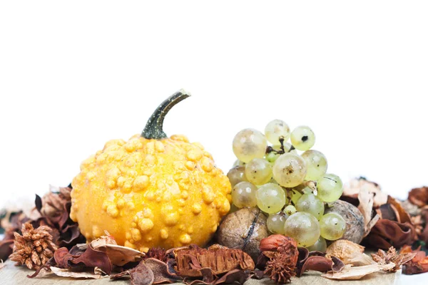 Autumn concept - Pumpkin and grapes on white — Stock Photo, Image