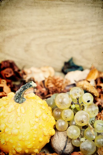Podzimní koncept - dýně a hrozny na bílém pozadí — Stock fotografie