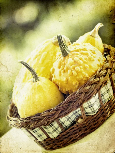 Pumpkins in basket and colorful autumn background — Stock Photo, Image