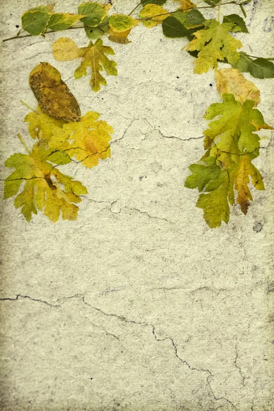Grunge Hintergrund mit Herbstblättern — Stockfoto
