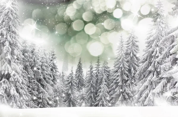 Weihnachtswinterlandschaft — Stockfoto