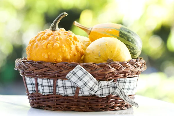 Pumpkins in basket — Stock Photo, Image