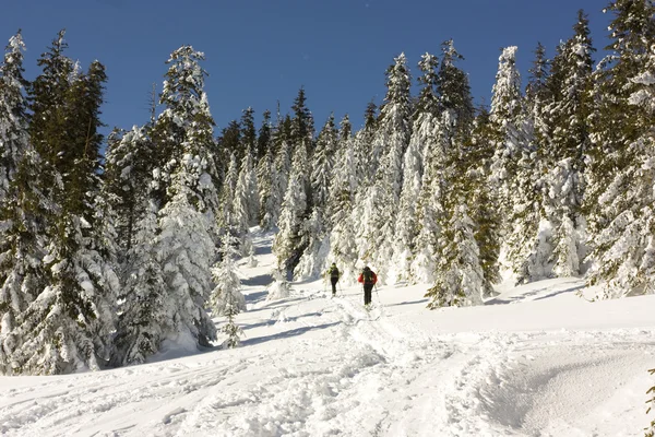 Les skieurs grimpent au sommet de la montagne — Photo