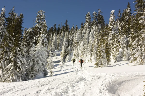 Sciatori che salgono in cima alla montagna — Foto Stock