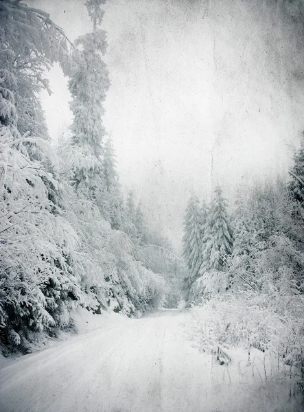 Kış manzara karlı köknar ağaçları ile Vintage Fotoğraf — Stok fotoğraf