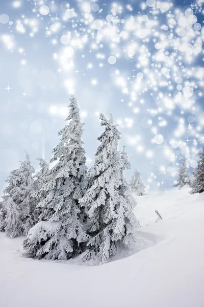 Jul bakgrund med snöiga gran träd — Stockfoto