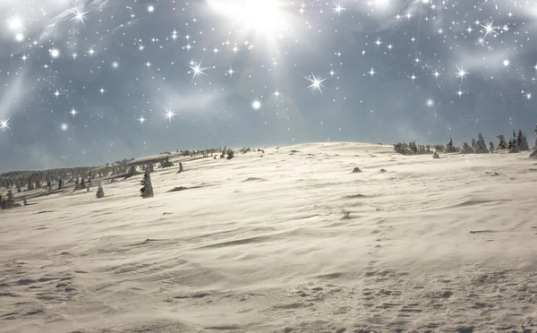 Hermoso panorama de invierno con árboles cubiertos de nieve — Foto de Stock