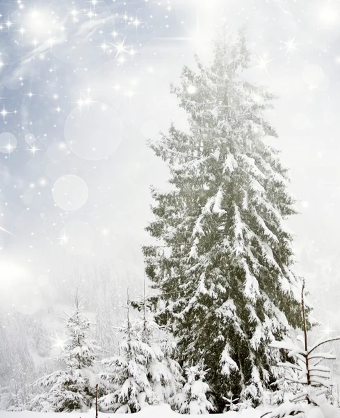 Fundo de Natal com estrelas e abetos nevados — Fotografia de Stock