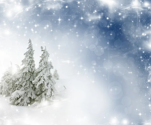 Kerstmis achtergrond met sterren en besneeuwde sparren — Stockfoto
