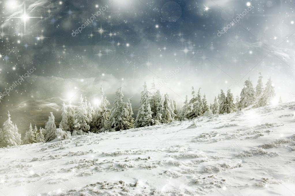 Christmas background with stars and snowy fir trees