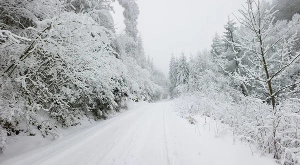 Navidad fondo nieve cubierto camino — Foto de Stock