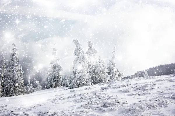 Jul bakgrund med stjärnor och snötäckta granar — Stockfoto