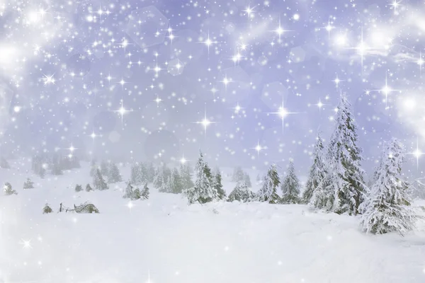 Christmas background with snowy fir trees — Stock Photo, Image