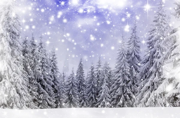 Weihnachten Hintergrund mit schneebedeckten Tannen — Stockfoto