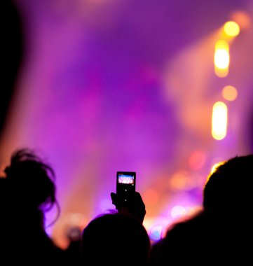 Konserde tezahürat yapan kalabalık