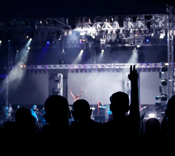 Jásající dav na koncertě — Stock fotografie