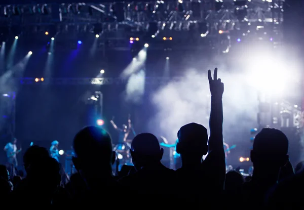 Cheering crowd at concert — Stock Photo, Image