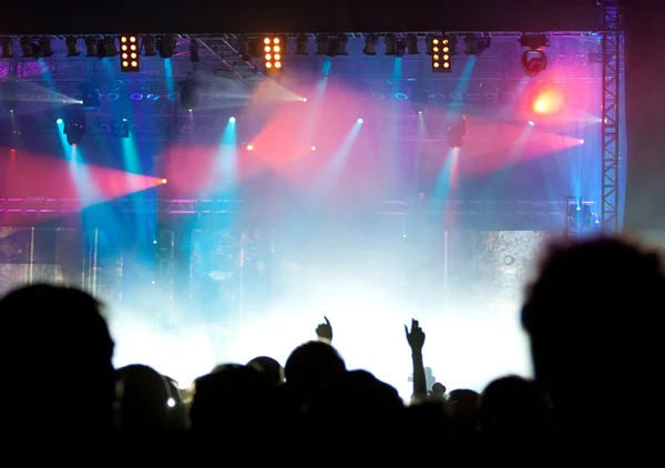 Animando a la multitud en concierto — Foto de Stock