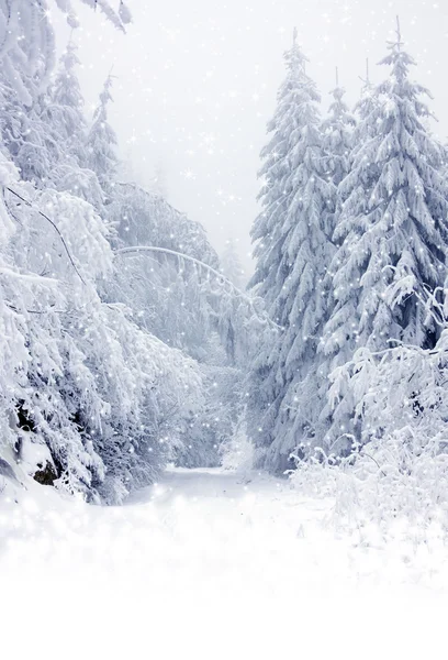 雪の覆われた道路 — ストック写真