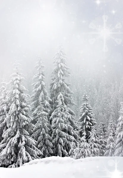 Świąteczne tło ze śnieżnymi jodłami — Zdjęcie stockowe