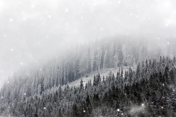 Снежный пейзаж в горах — стоковое фото