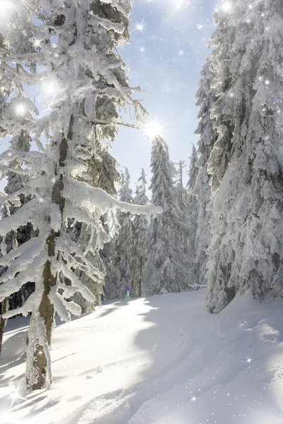 Snowy landscape in the mountains — Stock Photo, Image