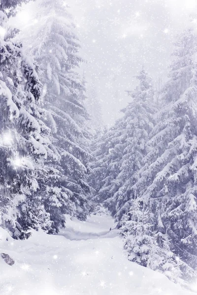 Snow covered Winter road — Stock Photo, Image