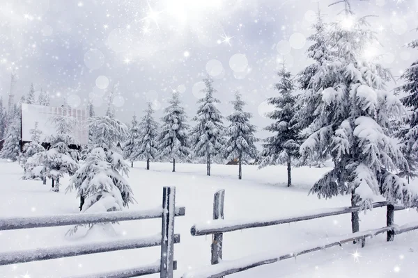 冬季景观与雪杉木树广告围栏 — 图库照片
