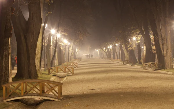Misty night in the park — Stock Photo, Image