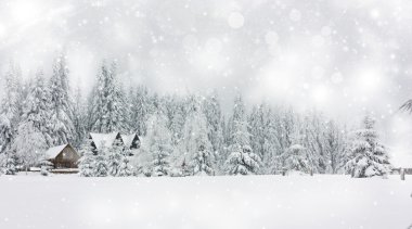 yıldız ve karlı köknar ağaçları ile Noel arka plan