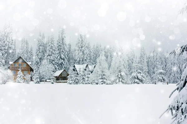 Fondo de Navidad con estrellas y abetos nevados — Foto de Stock